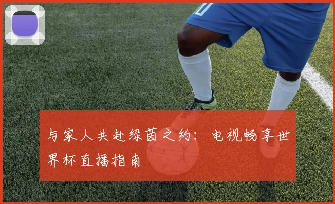 与家人共赴绿茵之约：电视畅享世界杯直播指南